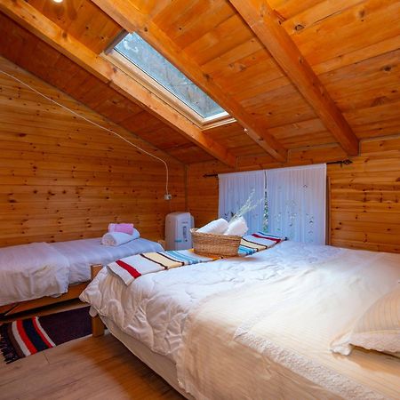 Bee Eco Guest House Moll' e Shoshit Eksteriør billede