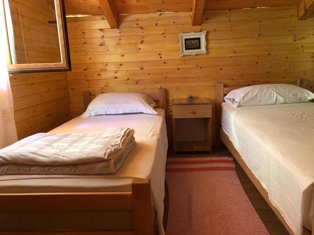 Bee Eco Guest House Moll' e Shoshit Eksteriør billede