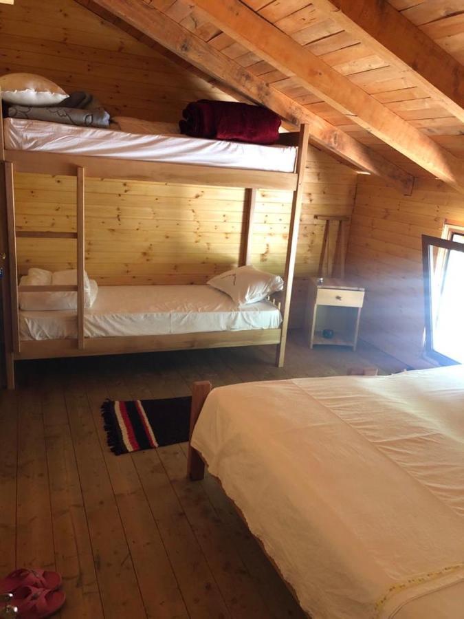 Bee Eco Guest House Moll' e Shoshit Eksteriør billede