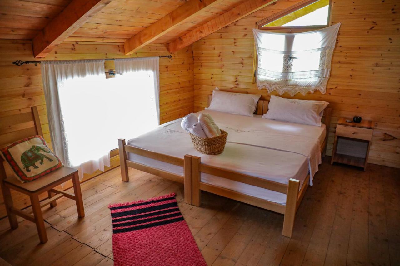 Bee Eco Guest House Moll' e Shoshit Eksteriør billede