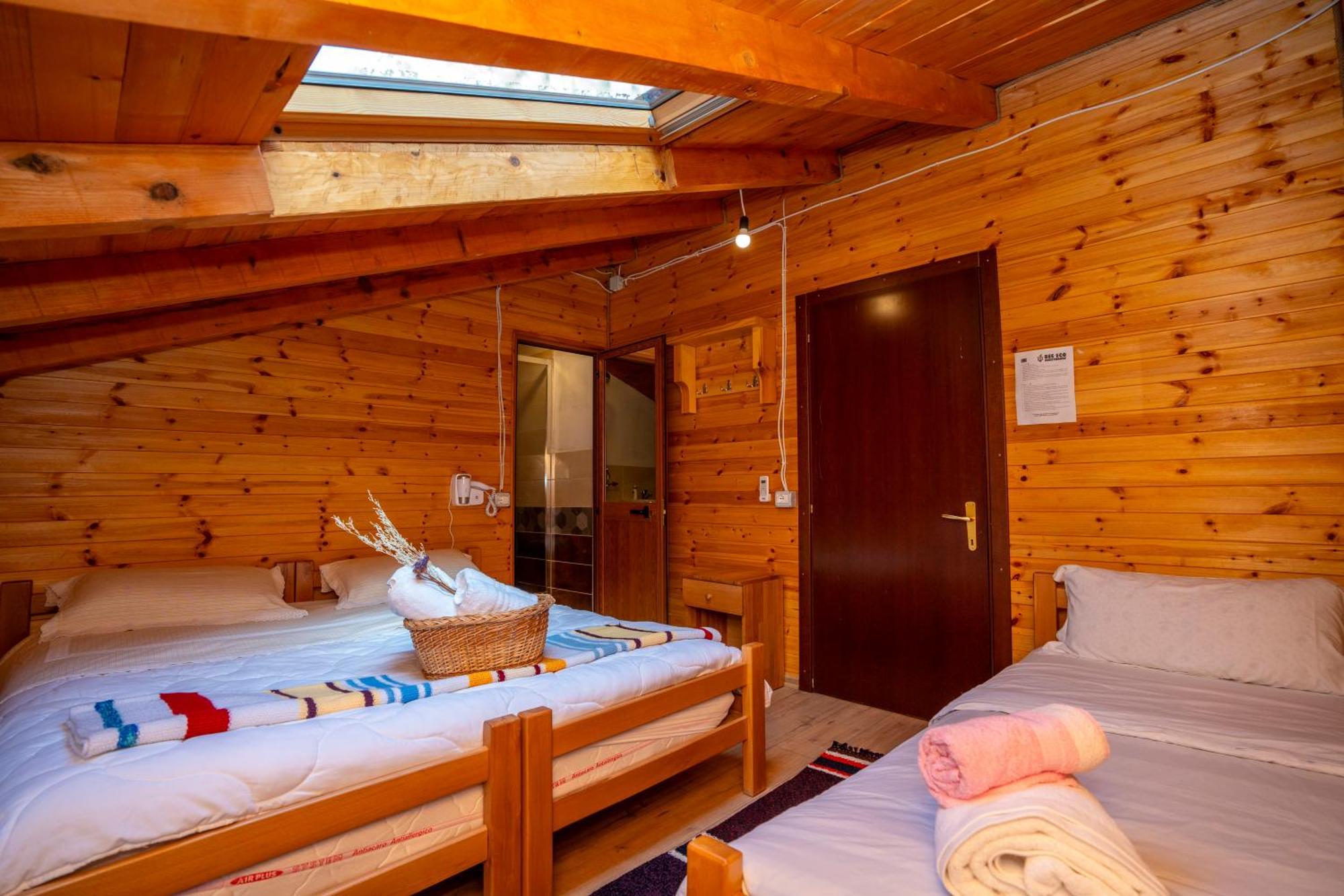 Bee Eco Guest House Moll' e Shoshit Eksteriør billede