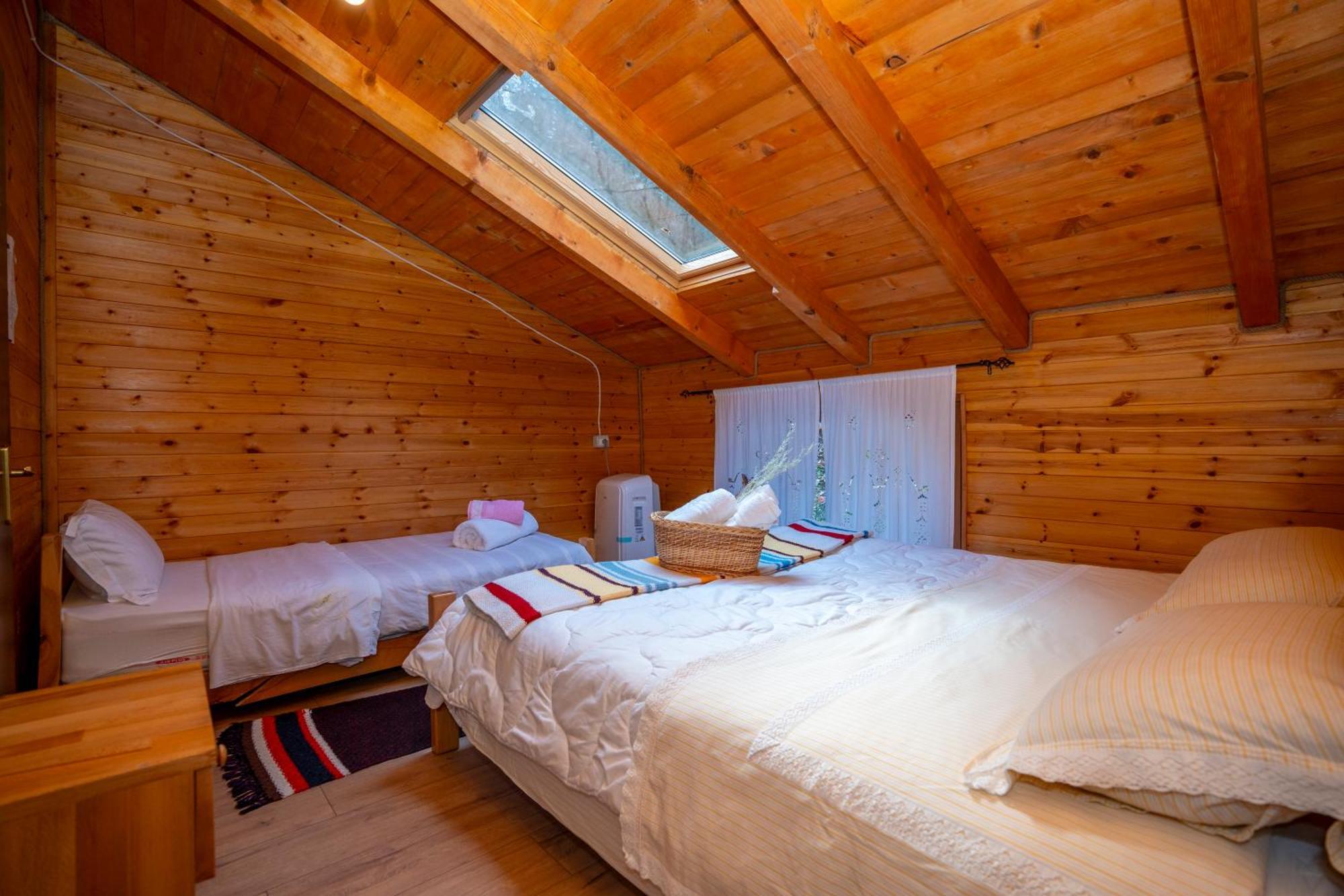 Bee Eco Guest House Moll' e Shoshit Eksteriør billede