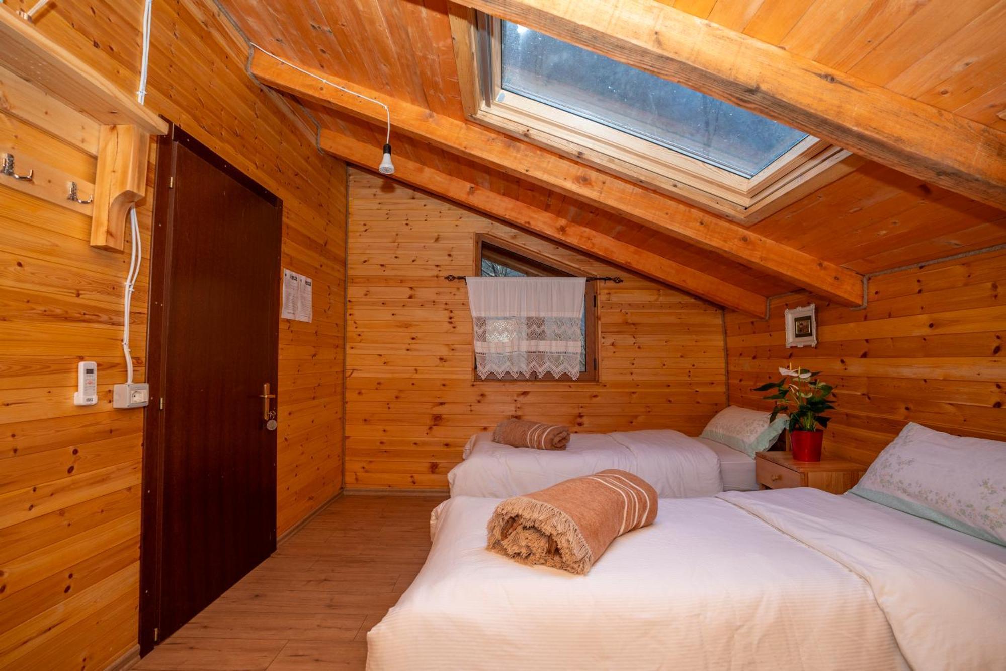 Bee Eco Guest House Moll' e Shoshit Eksteriør billede