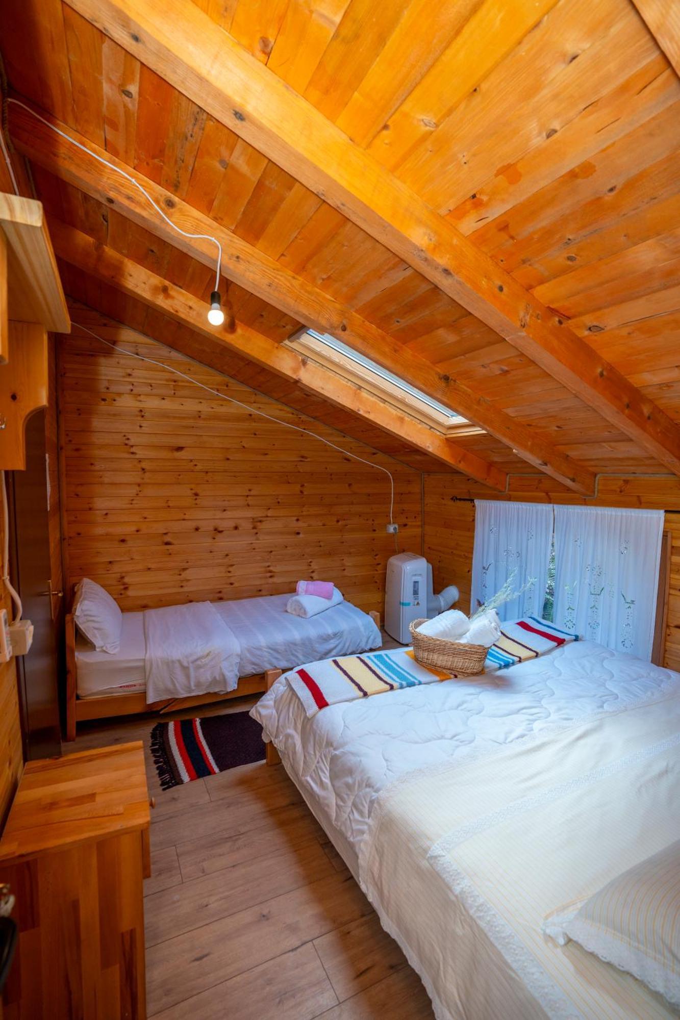 Bee Eco Guest House Moll' e Shoshit Eksteriør billede
