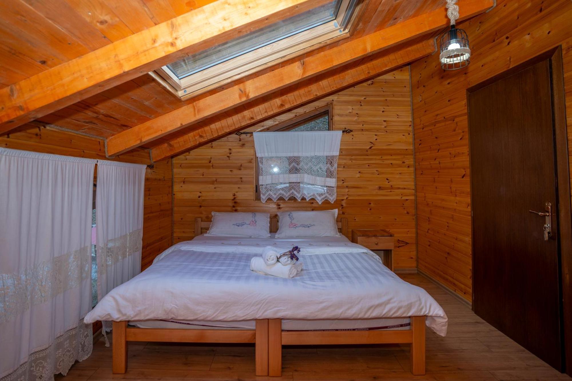 Bee Eco Guest House Moll' e Shoshit Eksteriør billede