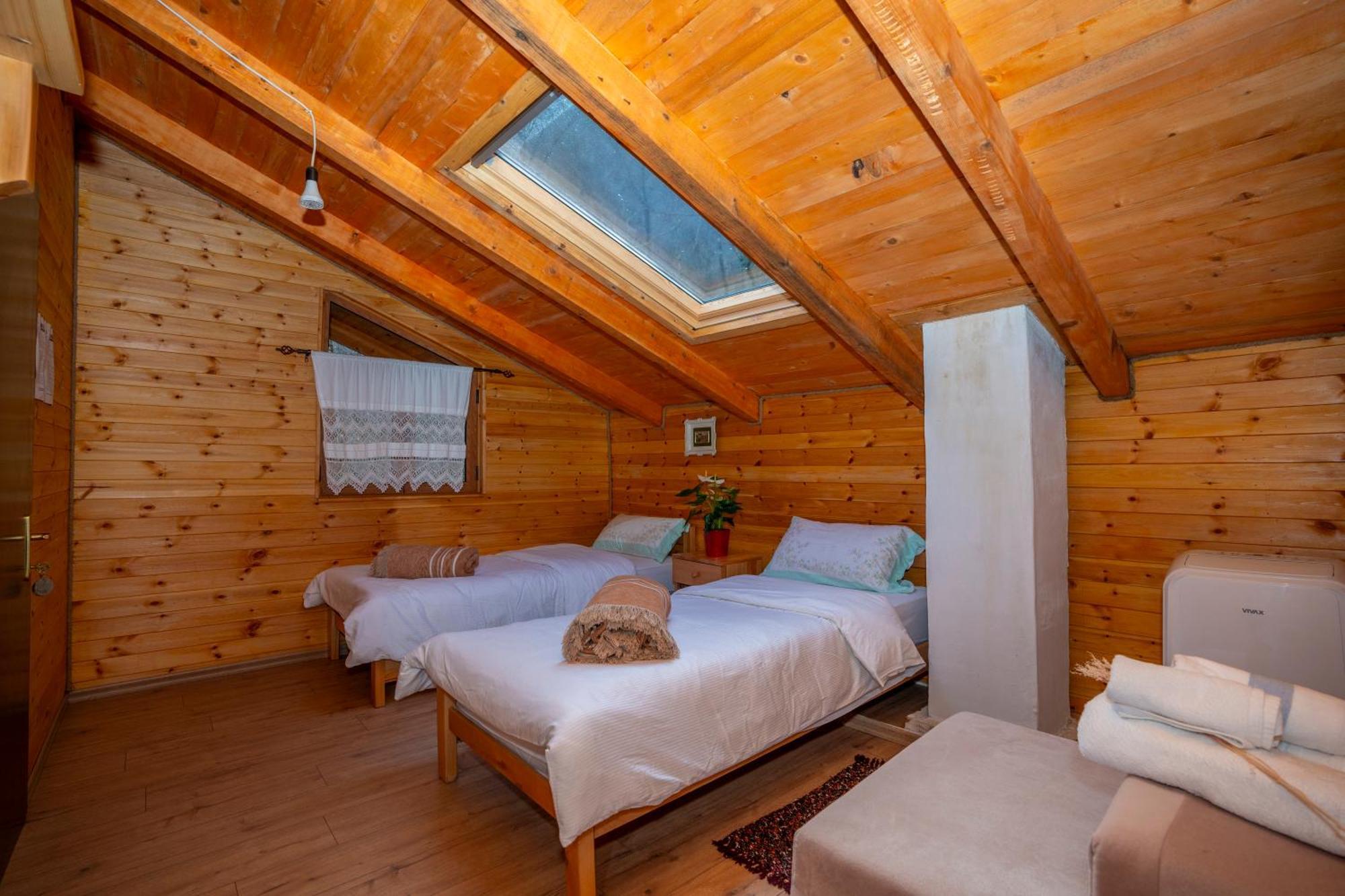 Bee Eco Guest House Moll' e Shoshit Eksteriør billede
