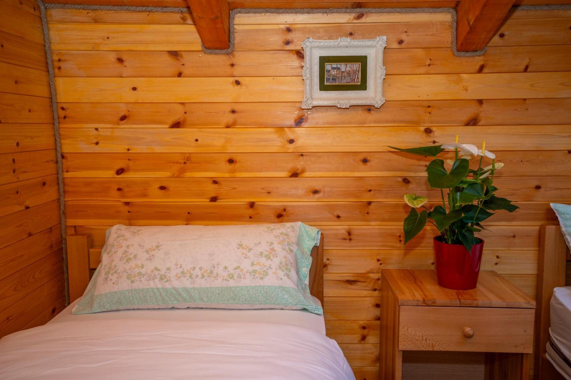 Bee Eco Guest House Moll' e Shoshit Eksteriør billede