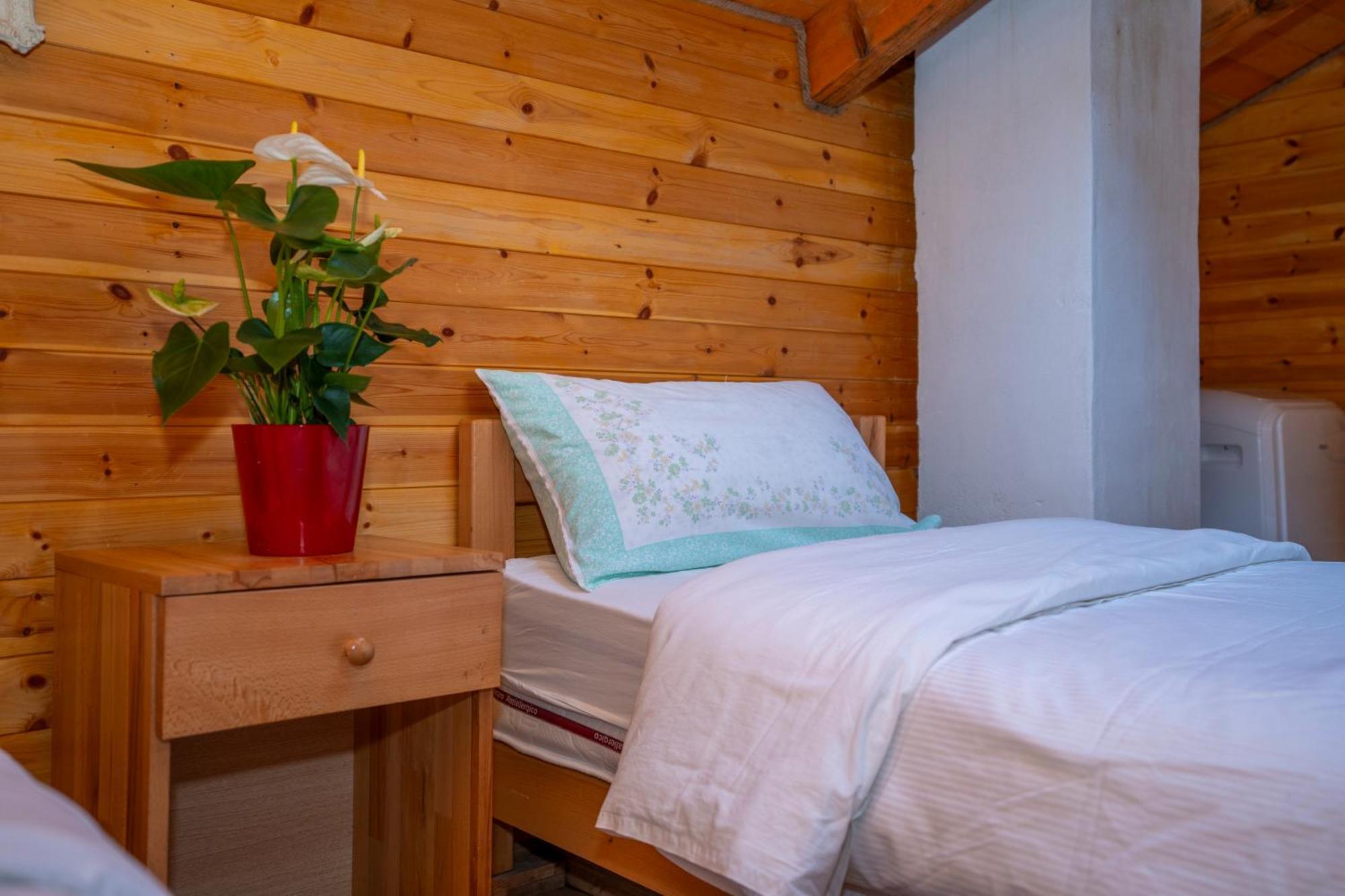 Bee Eco Guest House Moll' e Shoshit Eksteriør billede