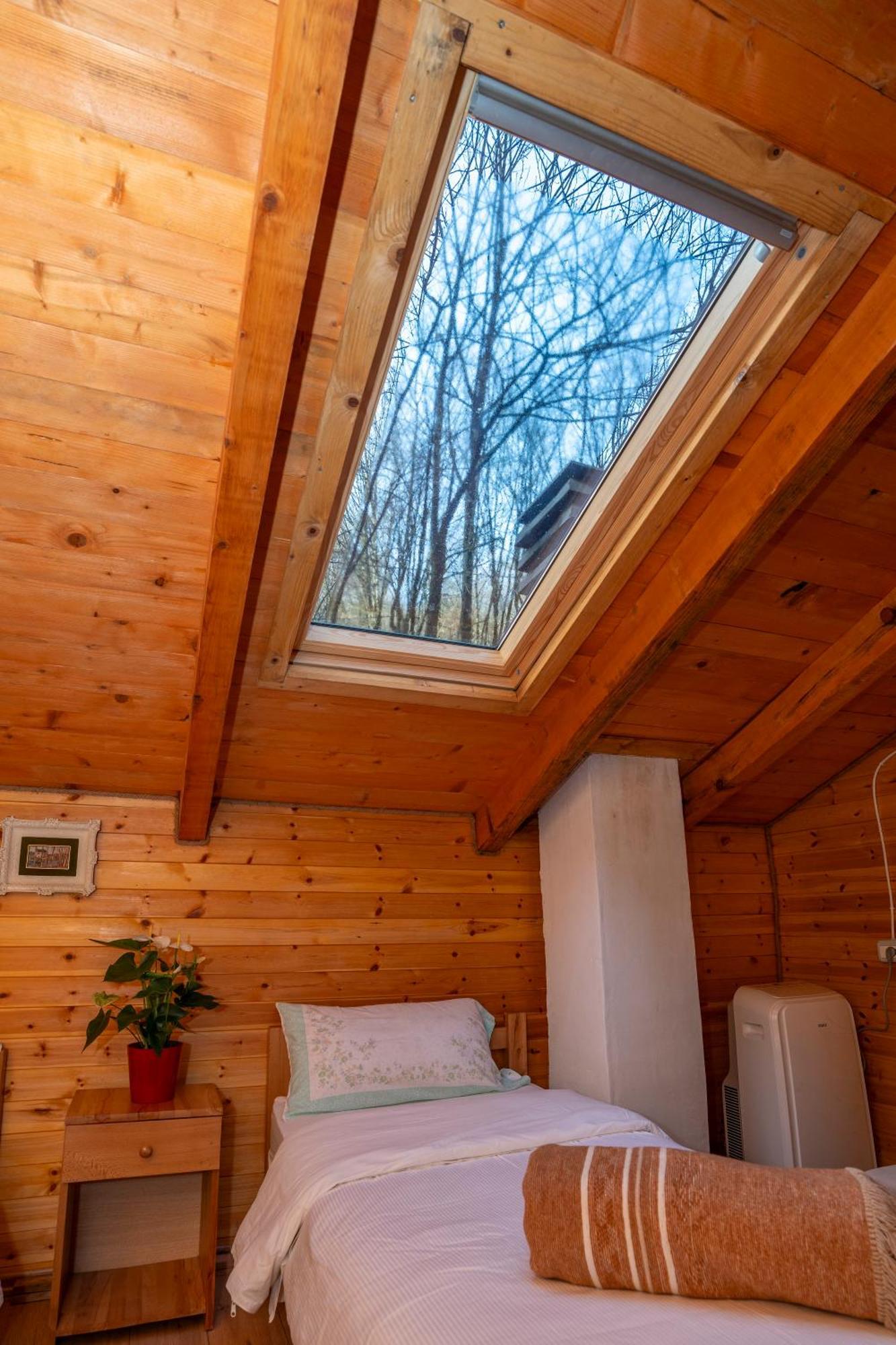 Bee Eco Guest House Moll' e Shoshit Eksteriør billede