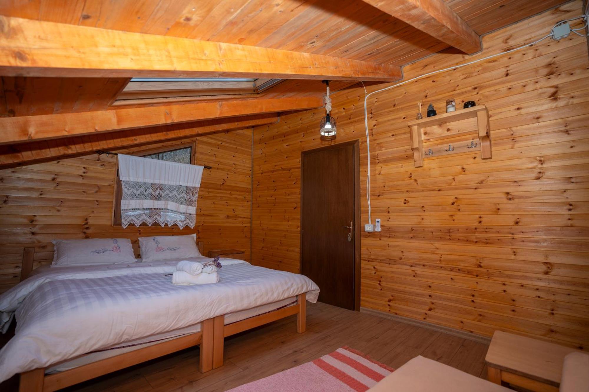 Bee Eco Guest House Moll' e Shoshit Eksteriør billede